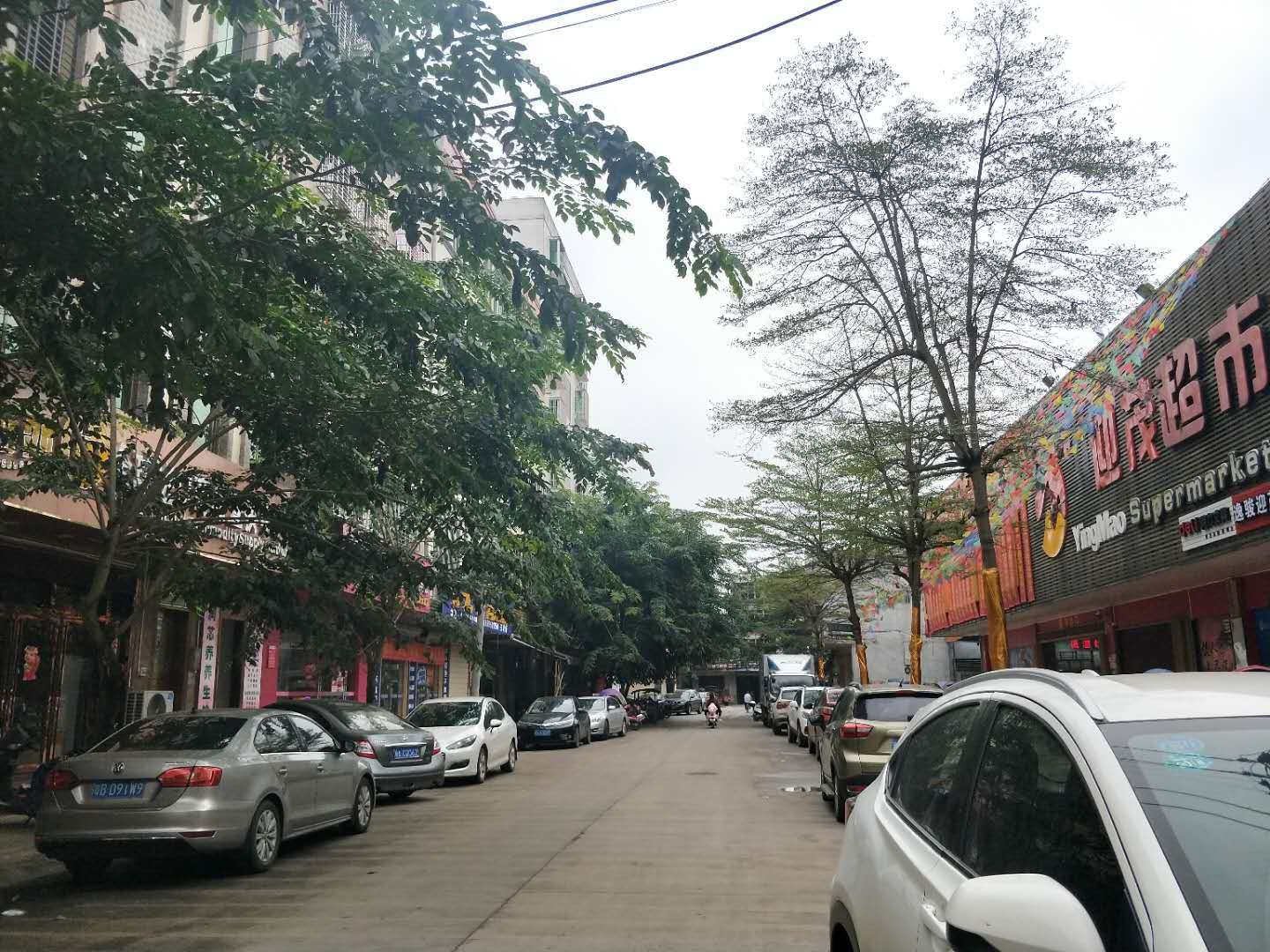 可空转大致坡进口超市