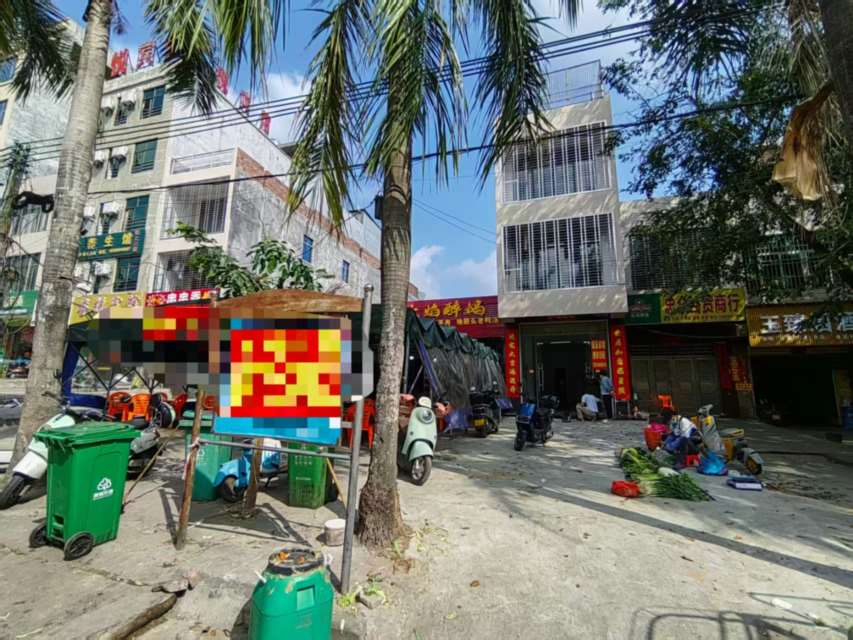 儋州那大先锋路临街旺铺整栋楼房东直租